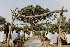 a group of people that are standing in front of some trees and chairs at a wedding