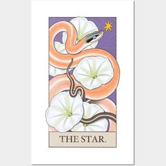 the star tarot card with an orange snake and white flowers