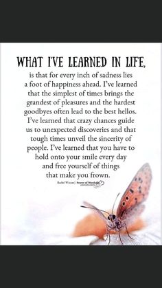 an orange butterfly with the words what i've learned in life