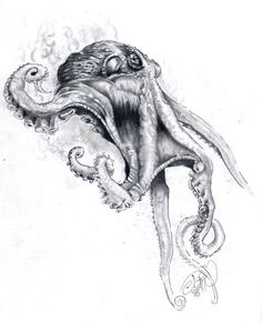 an octopus is floating in the air with its tentacles stretched out and it's eyes open