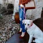 a white dog sitting next to a woman on top of a wooden bench in front of a brick building