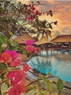 an outdoor swimming pool with pink flowers in the foreground