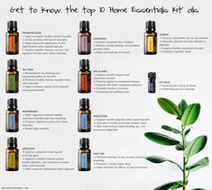 Doterra Recipes, Essential Oils For Headaches, Essential Oil Mixes, Living Essentials Oils