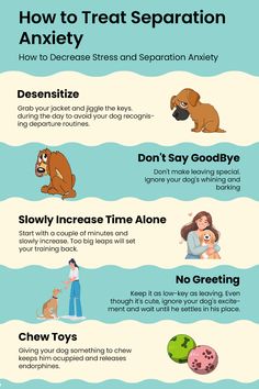 an info sheet describing how to treat separation