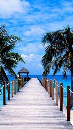 a pier leading to the ocean with palm trees