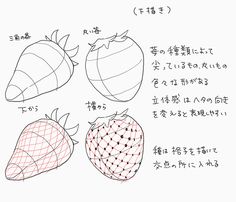 three different types of strawberries are shown in this drawing technique, with the words written below them