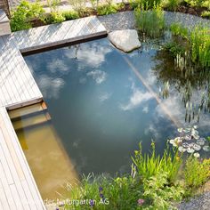 an outdoor pond surrounded by plants and flowers