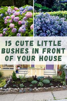 some bushes and flowers in front of a house with the words 15 cute little bushes in front of your house