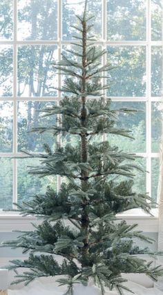 a small christmas tree in front of a window