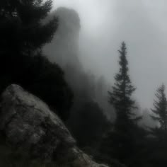 trees and rocks in the fog on a mountain side with a large rock sticking out of it