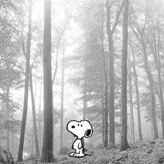 a black and white photo of a cartoon character standing in the middle of a forest