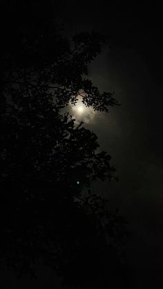 the moon shines brightly in the dark sky above some trees and bushes at night