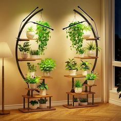 two circular shelves with plants on them in front of a wall mounted lamp and floor lamp