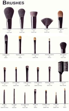 A Complete Picture Guide To Beauty Make Up Brushes - DIY Types Of Makeup Brushes, Mat Makeup, Make Up Mata, Makeup Charts, Brush Guide, Alat Makeup, Makeup Brushes Guide