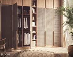 an open closet with clothes hanging on the doors, and a potted plant next to it