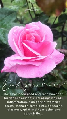 a pink rose with green leaves in the background and a poem written on it that says,