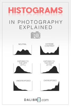 an info sheet with the words,'photographs in photography explain what they are doing