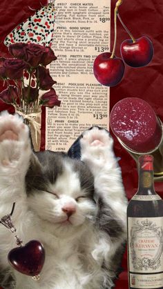 a cat with its eyes closed next to a bottle of wine and cherries