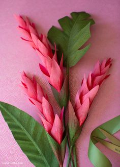 pink flowers with green leaves on a pink surface next to a pair of scissors and ribbon