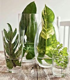 three vases with plants in them sitting on a wooden table next to each other