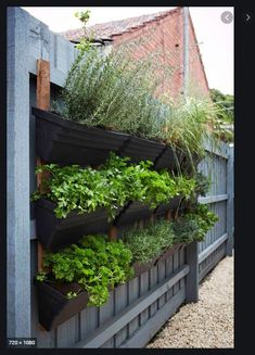 an outdoor herb garden on the side of a building