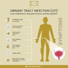 One of the most essential reasons to treat a UTI as soon as symptoms appear is to prevent the infection from spreading. Visit us at: https://zafa.com.pk #Zafa #urinarytractinfection #kidneydisease #anatomy #doctor #health Urine Tract Infection, Bladder Control Exercises, Bladder Leakage Remedies, Bladder Exercises, Anatomy Doctor, Cloudy Urine, Bladder Prolapse, Kegel Exercise For Men