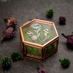 a small box with moss inside sitting on the ground next to other plants and flowers