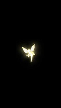 a bird flying through the dark sky at night with light shining on it's wings