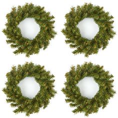 four green wreaths are arranged in the shape of a circle on a white background