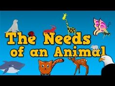 the needs of an animal is shown in this cartoon style with animals and birds around it