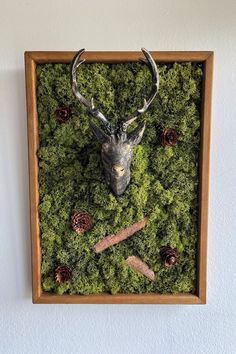 a deer's head is surrounded by green moss and pineconis in a wooden frame