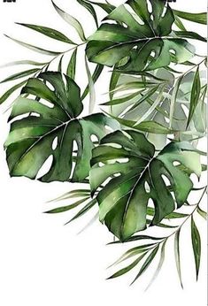 watercolor painting of green leaves on white background with text that reads,'i love you