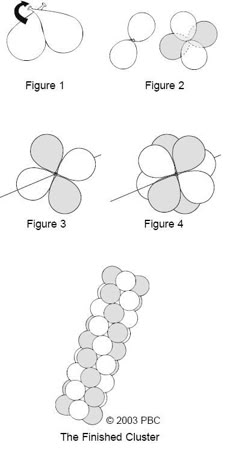 four dimensional shapes are shown in the same diagram, and each one has three petals