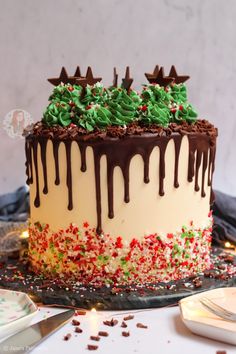 a decorated cake with chocolate icing and sprinkles