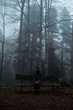 a person sitting on a bench in the woods