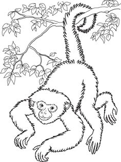 a monkey hanging from a tree branch with leaves on it's back, coloring page