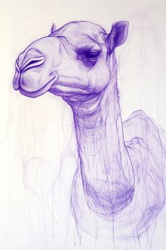 a drawing of a giraffe's head is shown in purple ink on white paper