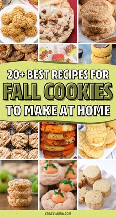 20 best recipes for fall cookies to make at home