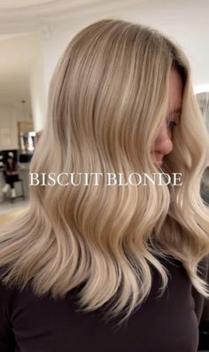 Blonde Hair For Hazel Eyes And Fair Skin, Beige Hair With Blonde Highlights, Air Touch Highlights, Biscuit Blonde Balayage, Pastel Blonde Hair, Neutral Blonde Hair Color, Air Touch Hair Blond, Elegant Blonde Hair, Biscuit Blonde Hair