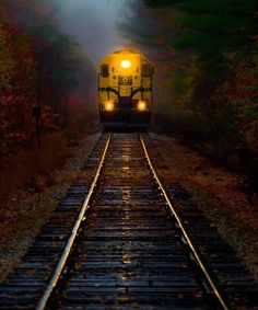 a train traveling down tracks in the woods at night with lights shining on its head