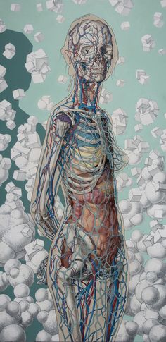 a painting of a human body with multiple lines running through it, including the heart and lungs