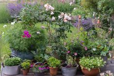 a garden filled with lots of different types of flowers and plants growing in potted planters