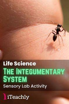 a small black insect sitting on top of a person's arm with the caption life science the integumenary system