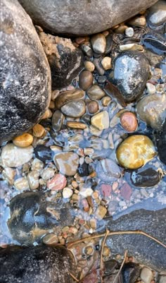 some rocks and water on the ground