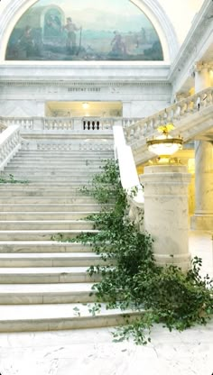 the stairs are covered with green plants