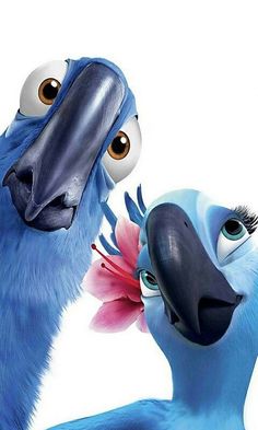 two blue birds are facing each other and one is looking at the other bird's face