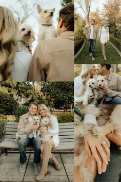 a couple and their dogs are sitting on a bench