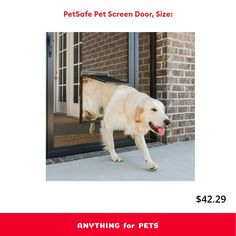 a large white dog is entering the pet door