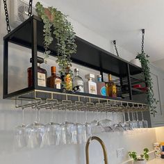 a kitchen sink with wine glasses hanging from the wall and plants on the shelf above it