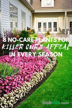 a flower bed in front of a house with the words 8 no - care plants for killer city appeal in every season